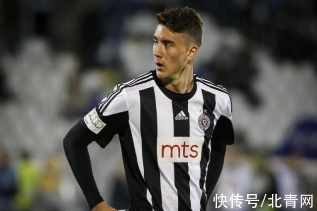 分的常青树 分的常青树