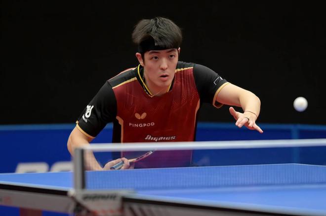 小萨博尼斯 小萨博尼斯